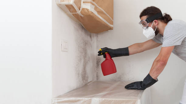 Professional Mold Removal technician working in Henrico, NC