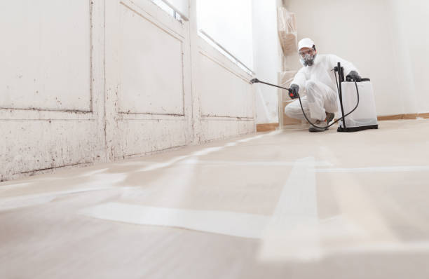 24/7 Emergency Mold Removal experts in Henrico, NC