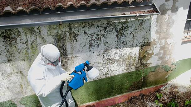 Trusted Commercial Mold Remediation service in Henrico, NC - Cheap Mold Removal